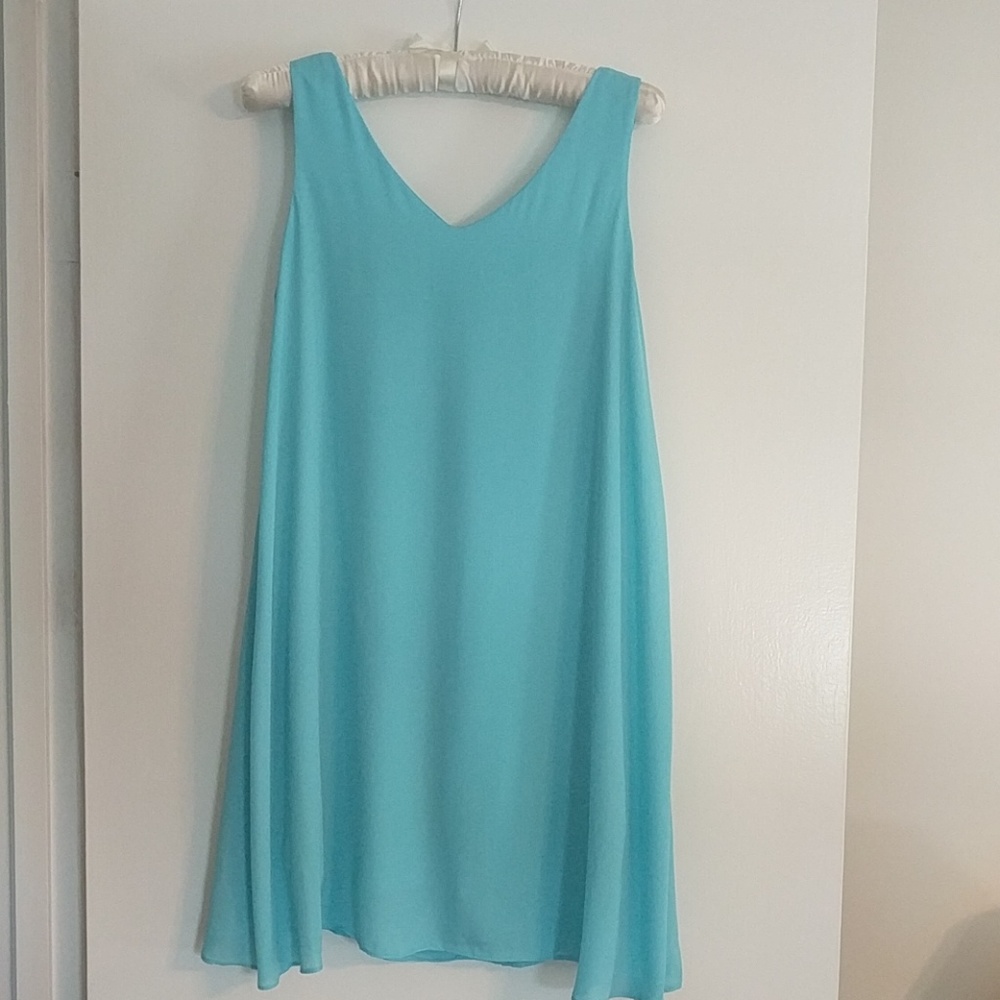 Pinkblush Maternity Dress